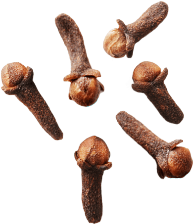 Clove